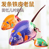 Wind-up classic toy, frog, nostalgia, wholesale