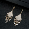 Zirconium, earrings with tassels, pendant, European style, micro incrustation