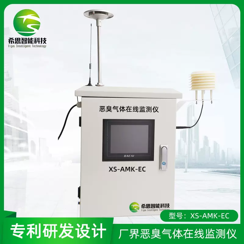恶臭气体在线监测仪 工业园区垃圾站气体检测仪 污水厂臭气检测仪