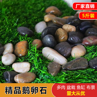 5���b�Z��ʯľͰ�~ʯ�^�·ʯ�ӈ@ˇ����ʯ�~���껨ʯ�Zůʯ䁵�