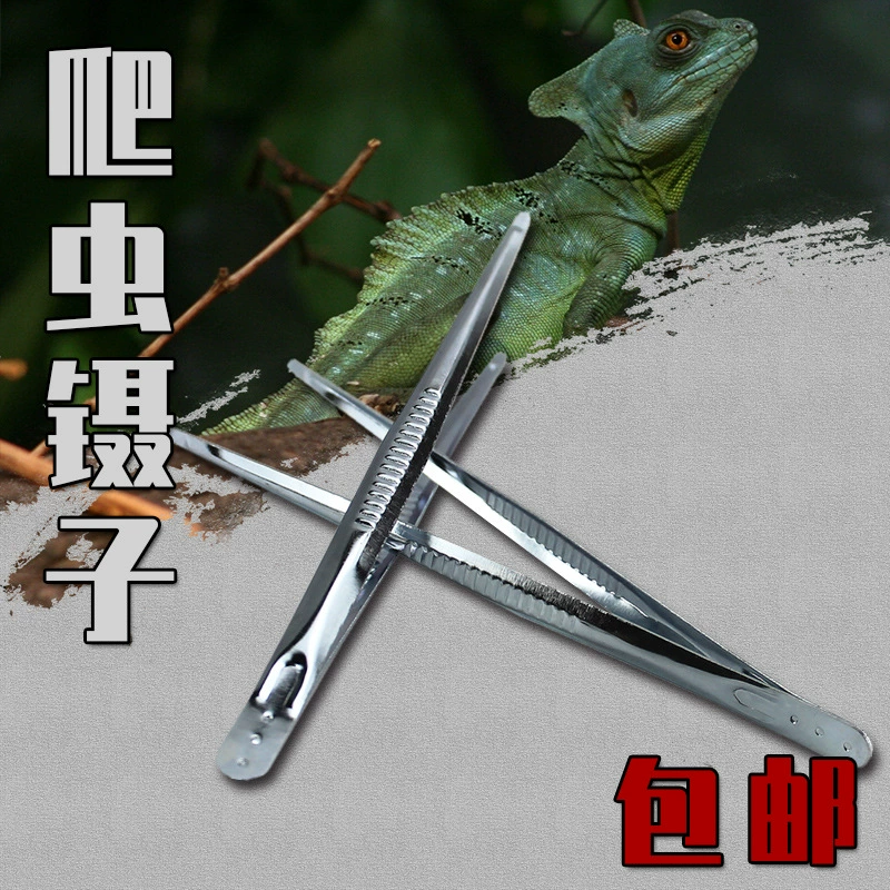 Подарочные маленькие железные плоскогубцы металлический пинцет гусеничный живой ящик для скалолазания ящерица угол лягушка черепаха зажим для кормления Альпинизм Чистка домашних животных