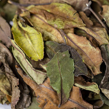 ���l���~ ��ϹŘ�ײ� �ײ����� ��ɽ�� ����¹�����˲� ɢ�b