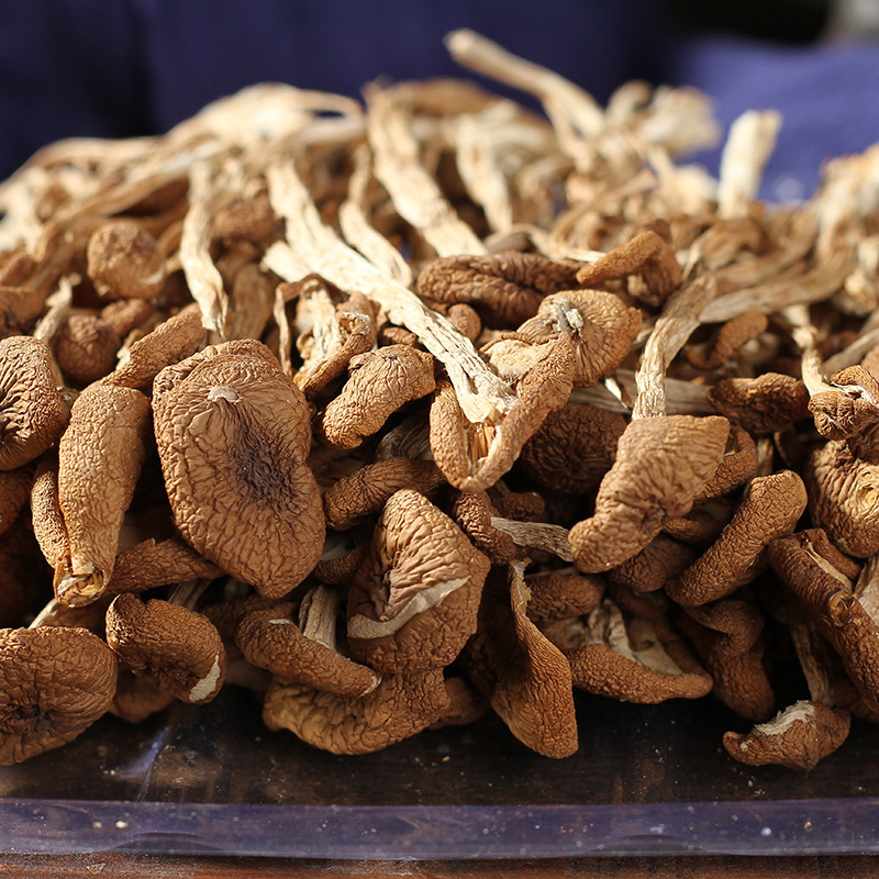 Yunnan, Yunnan and Fujian people's edible mushrooms are firm and tender, 100g packaged, commercially available, ultra-dry tea tree mushrooms