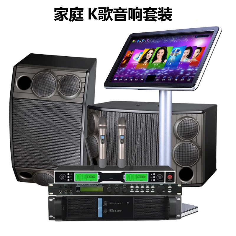 Titular de la tarjeta Altavoz profesional individual de 10 pulgadas multi-función de audio de la familia KTV karaoke casa privada Sala de Conferencias bar