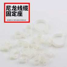 �S�����l�������|�̶��� �̶��oR�;��A