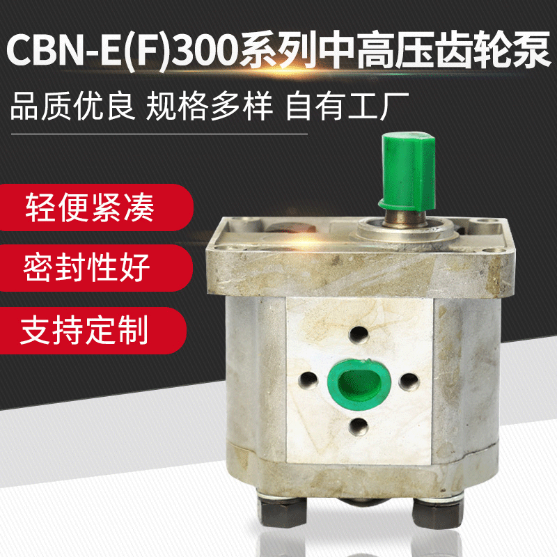 厂家供应 CBN-E(F)300系列中高压齿轮泵液压齿轮泵