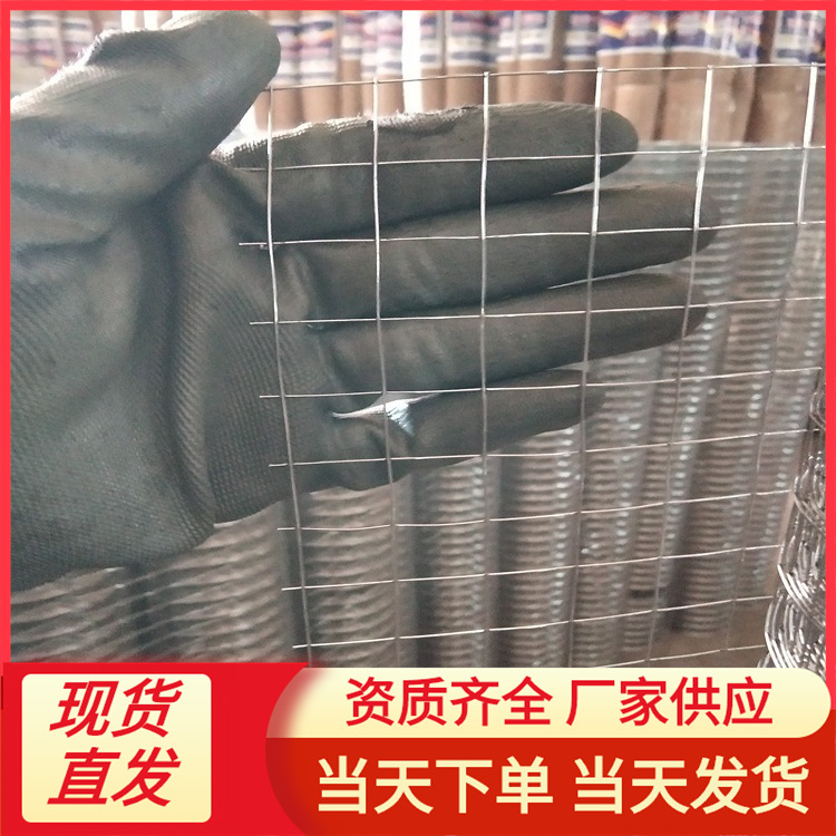 厂家现货供应抹墙电焊网铁丝网镀锌养殖网粉墙网电焊网片镀锌防锈