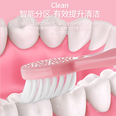 Hilton Electric Toothbrush Factory Wholesale Waterproof Sonic USB Charging Electric Toothbrush Adult Electric Toothbrush