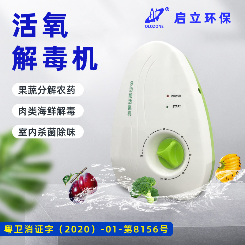 小型果蔬消毒机家用臭氧净化机去除农药残清洗蔬菜水果肉类活氧机