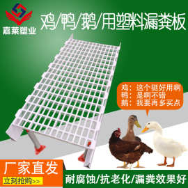 供应养鹅设备需要白色漏粪地板 鹅养殖塑料漏粪板1米白色接粪托盘