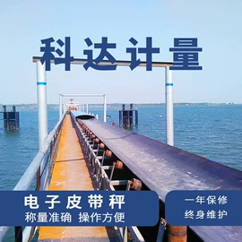 地磅;电子秤;其他衡器