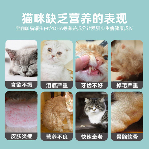 Baokaka cat cans 48 cans/box wet food pet snacks staple food cans reward small fish nutritious cat cans