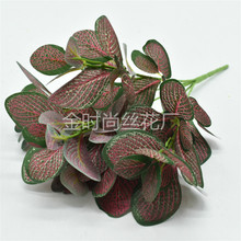 �S��ֱ�N���滨 �ٻ�����5�^�zӡ�W�y�~ ֲ���� �廨�b����