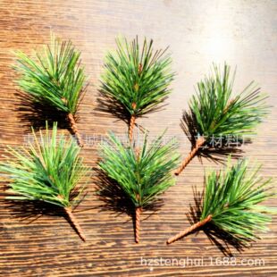 �������֦ PVC���|��� �}�Q������� �{�����֦ �Y���b����