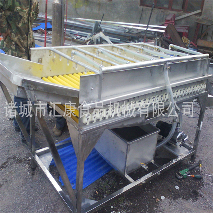 全自动莲藕毛刷清洗机 海鱼除磷喷淋清洗机 器汇康机械销售设备