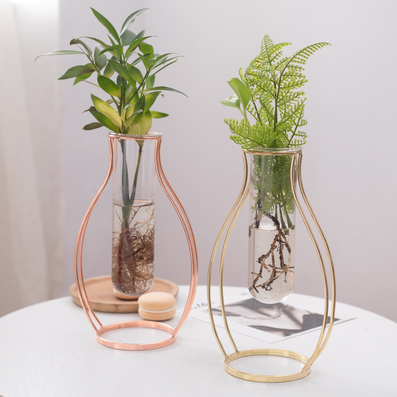 Jarrón de cristal estilo INS, soporte de flores de cristal con arte en hierro dorado para sala de estar, cafetería, mesa de centro, flores secas, flores hidropónicas, plantas verdes.