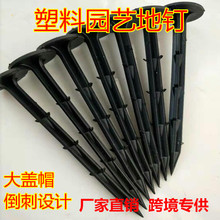 ���ϵ�ᔷ��ݲ����ݲ�ᔴ�����҈@ˇ�ز��Ĺ��߷Nֲ���û���