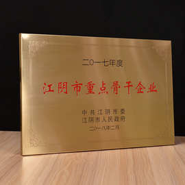 行政单位公司金箔奖牌 展会会议纪念钛金奖牌 高清文字金属奖牌