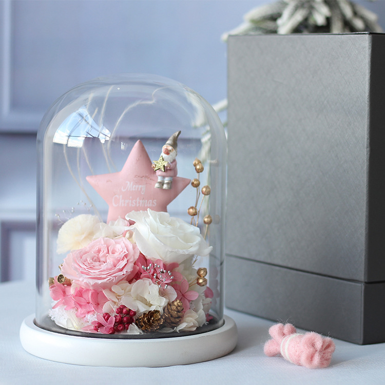 Flor Eterna Cubierta de Cristal, Regalo de San Valentín de Amazon, Rosa Estrella de Navidad, Regalo Festivo, Producto Terminado, Romántico