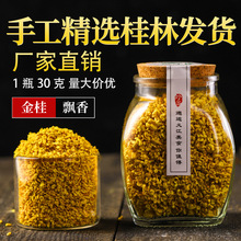 广西桂花茶干桂花食用金桂花新花草茶叶浓香型散装特产级批发代发