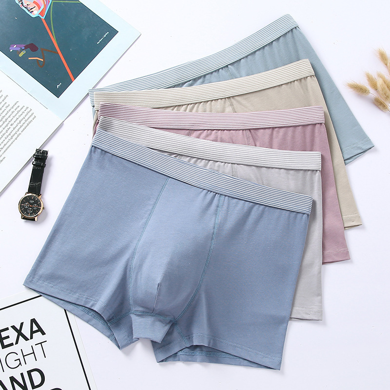 New Cotton Boxers Men's Underwear Piman Breathable Shorts Men's Trendy Boxers Source Origin