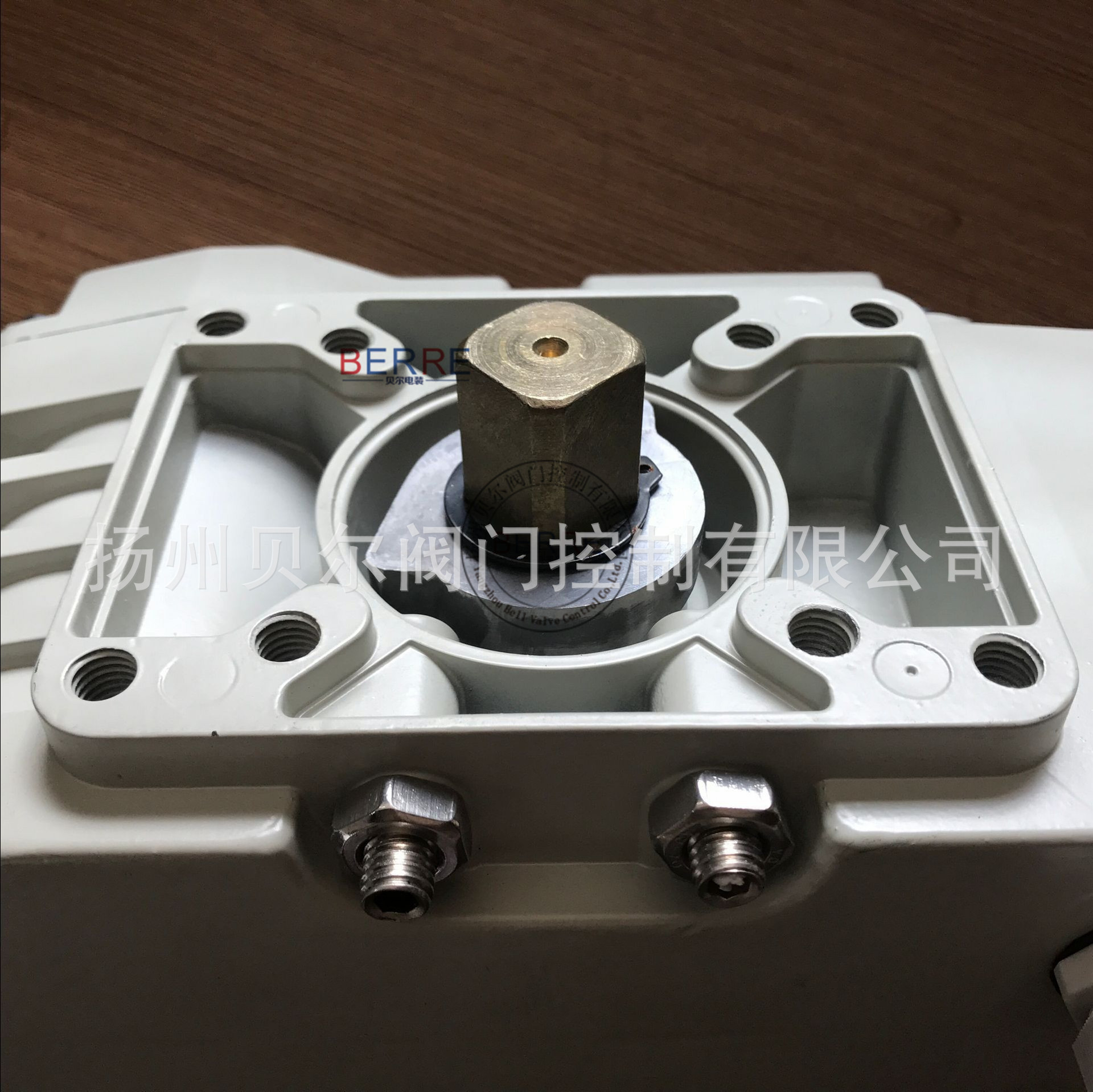 DY-10Z电动执行器 整体型电动执行机构