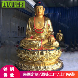 ����~���������� �S�~�T���N�����ɶ���  �����~�������