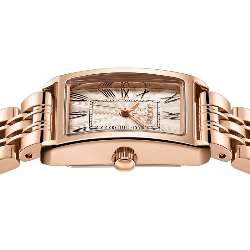 Julius Juli Time INS Wind Roman Monading Steel Band Small Plate Student Watch Ladies JA-1252