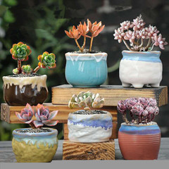 Pottery Ceramic Cactus Pot Rough Pot Small Ancient Tank Creative Simple Green Cactus Creative Retro Small Old Zhuang Plant Cactus Pot