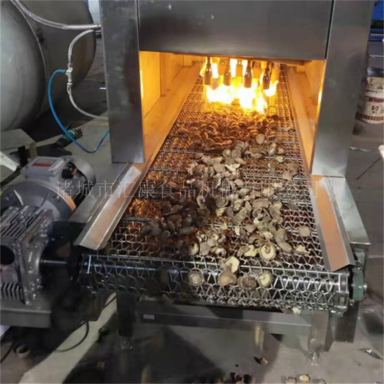 腊肉皮喷毛机  猪皮双层网带烧毛机 禽类皮长久烤毛清洗成套设备