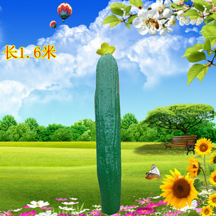 ������S�ϵ��ܲ�ժ�@���B�@�Gɫֲ��Ϲ��߲˵����b�Ʒ�[��