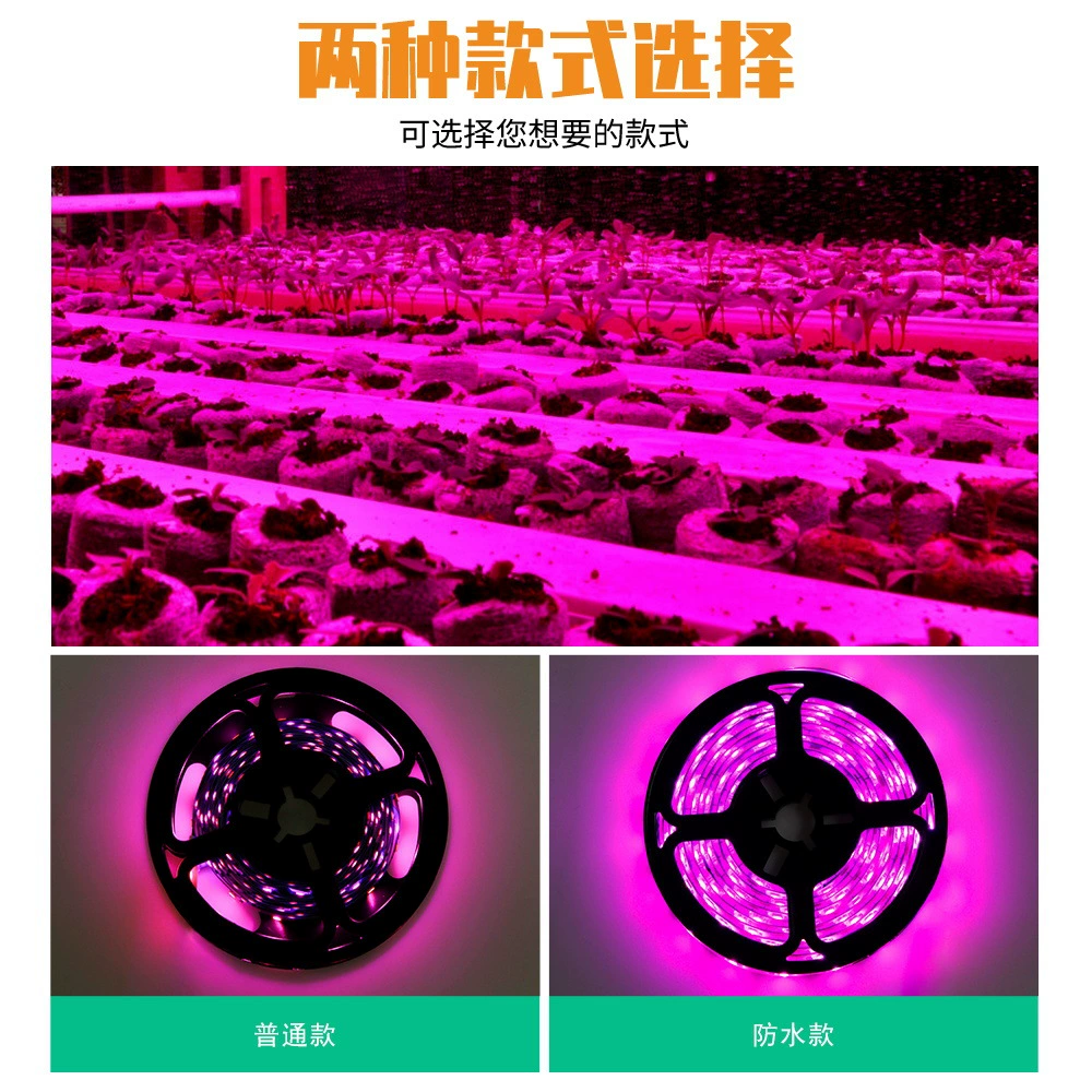 LED、、、