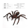 846 wolf spider 35g