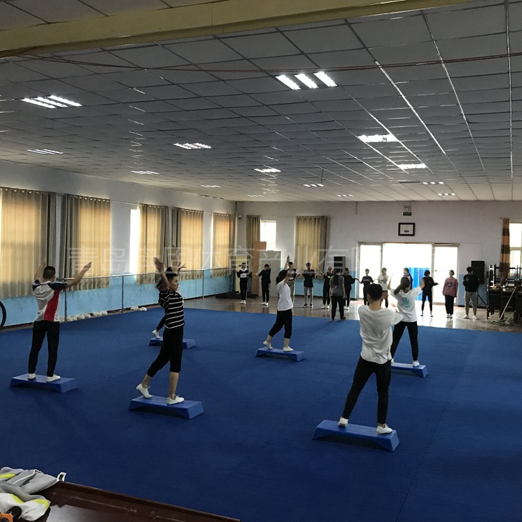 Factory Direct Sales Professional Cheerleading Dance Yoga Special Mat International Standard Competition Training Gymnastics Mat Roll Mat