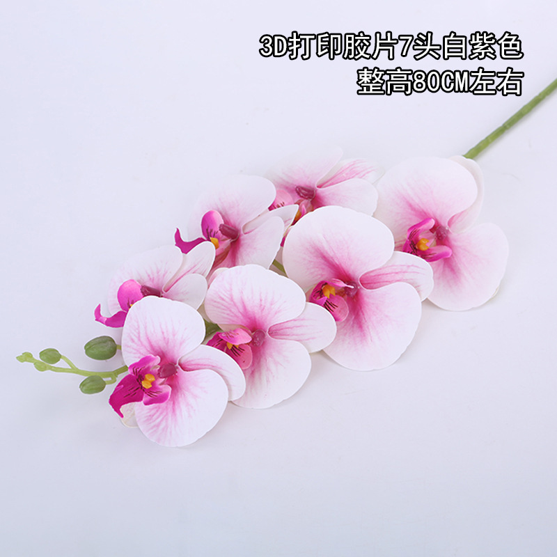 Película de impresión 3D 7 cabezas blanco púrpura