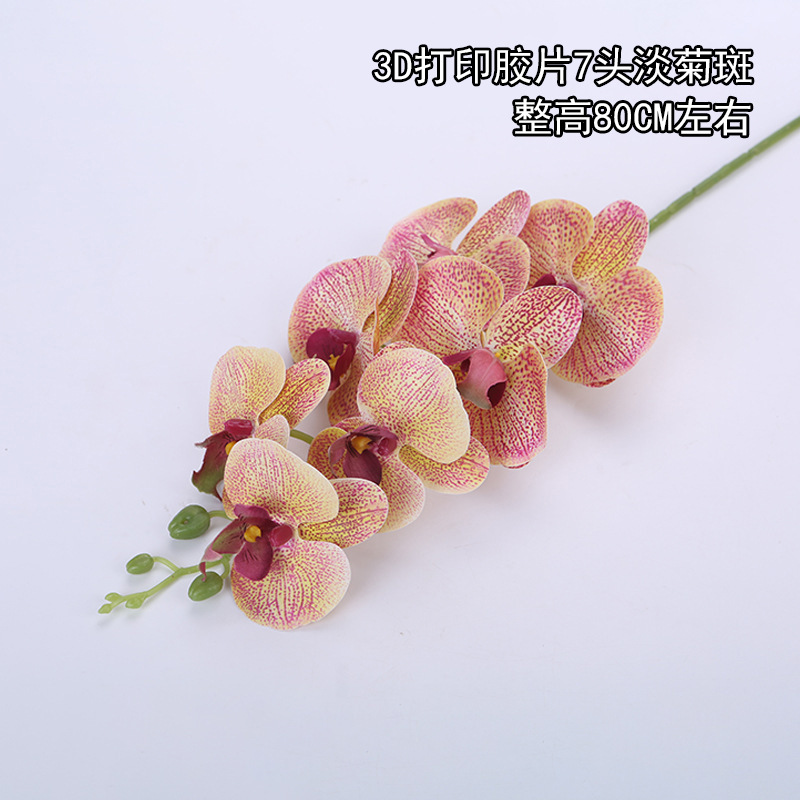 Película de impresión 3D 7-cabeza luz crisantemo spot