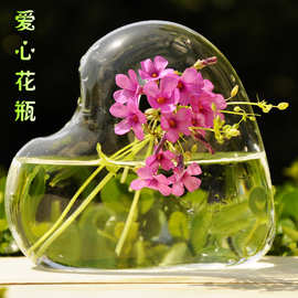 专业生产 玻璃工艺品 透明鱼缸 心形花瓶 花插装饰 水培小型鱼缸