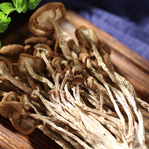 Yunnan, Yunnan and Fujian people's edible mushrooms are firm and tender, 100g packaged, commercially available, ultra-dry tea tree mushrooms