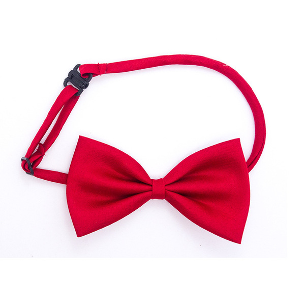 Children's bow tie with bow lapel pin