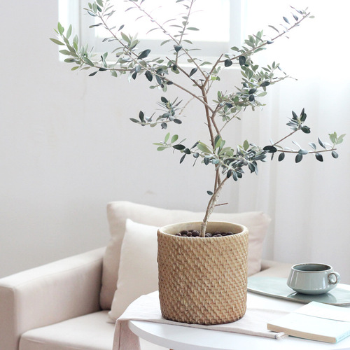 Pastoral style creative personality cement flower pot imitation straw wool pattern indoor green plant pot home decoration ornaments
