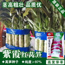 �t�n�S�N���n�S���n�ķN���߲˷N�����l�˷N���Ѳ˷N�ӹ�˾�ļ���