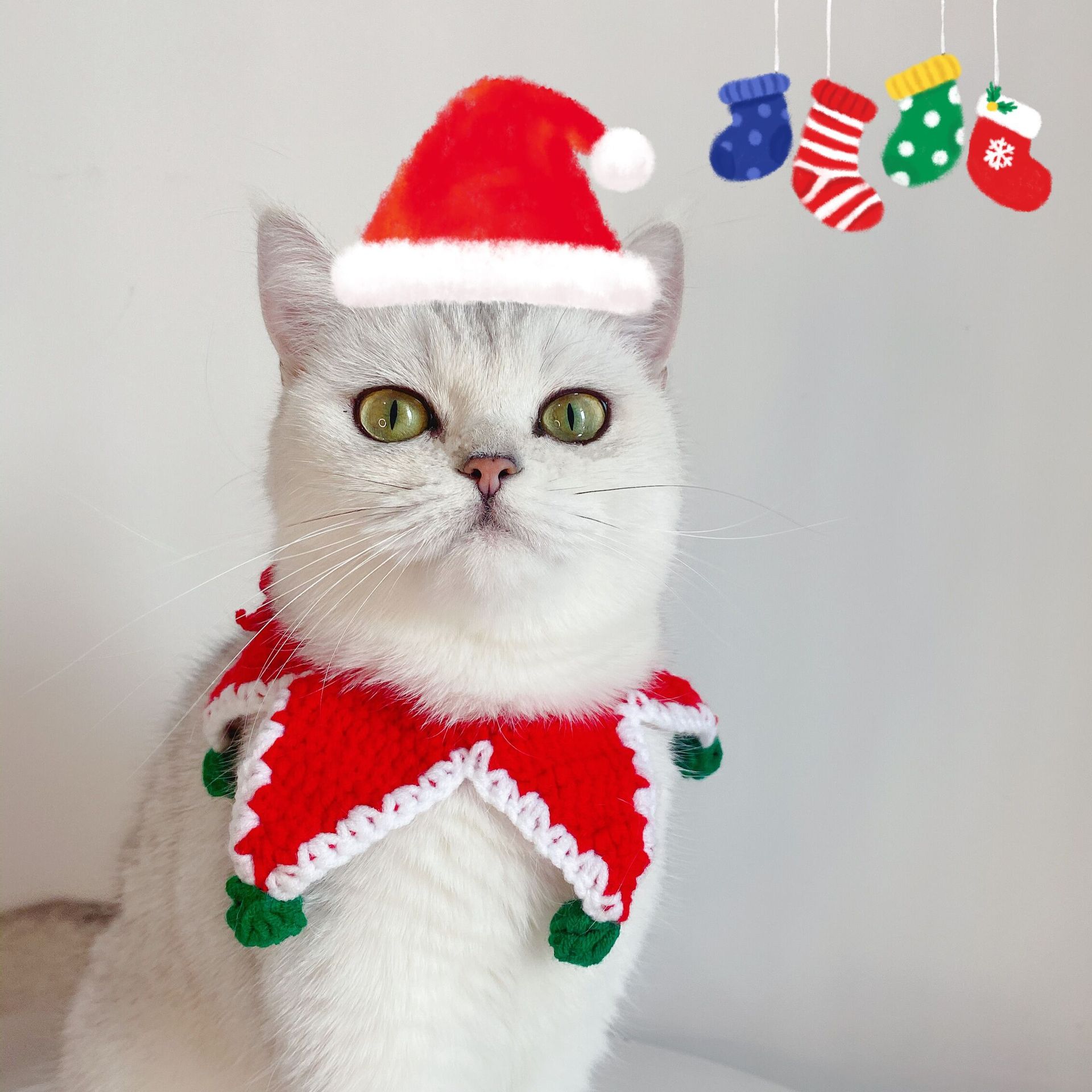 Pet trico Navidad pentagramas felinos perros lana trenzada collar accesorios pet pet pet collar pet