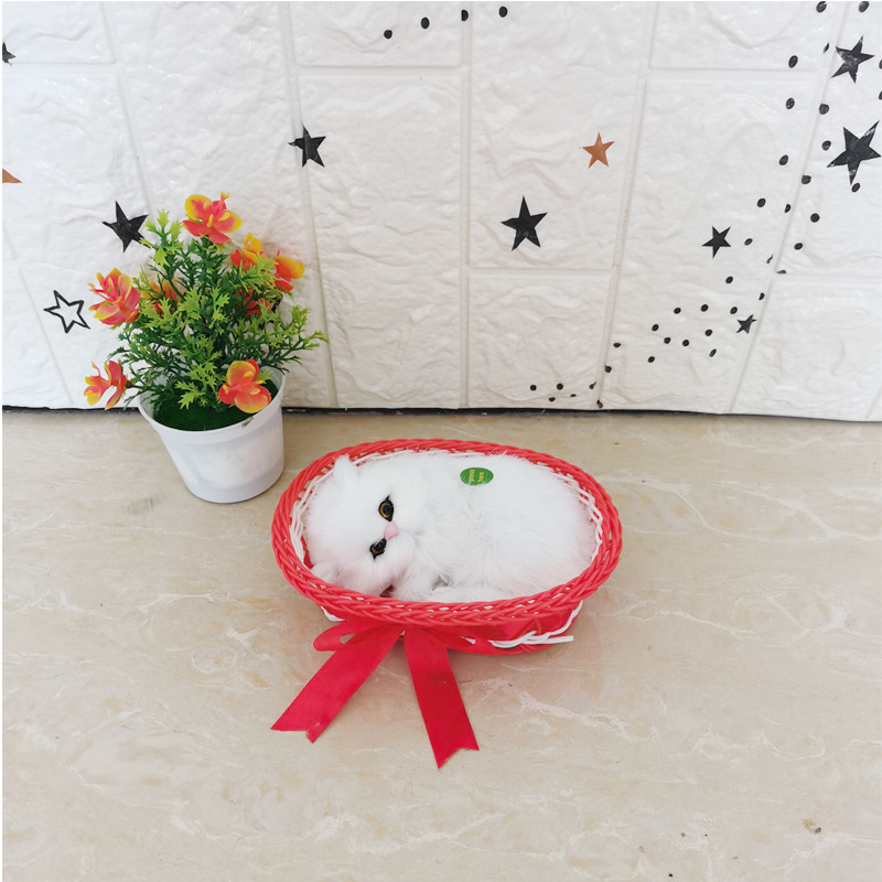 그것은 큰 빨간색과 큰 상자 순수한 흰색 고양이라고합니다.