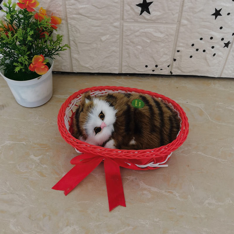 빅 레드 큰 상자 노란 사향 고양이