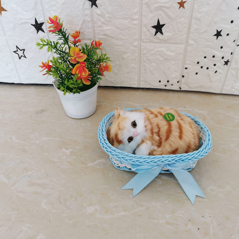 푸른 큰 상자 노란 꽃 고양이라고 불리자