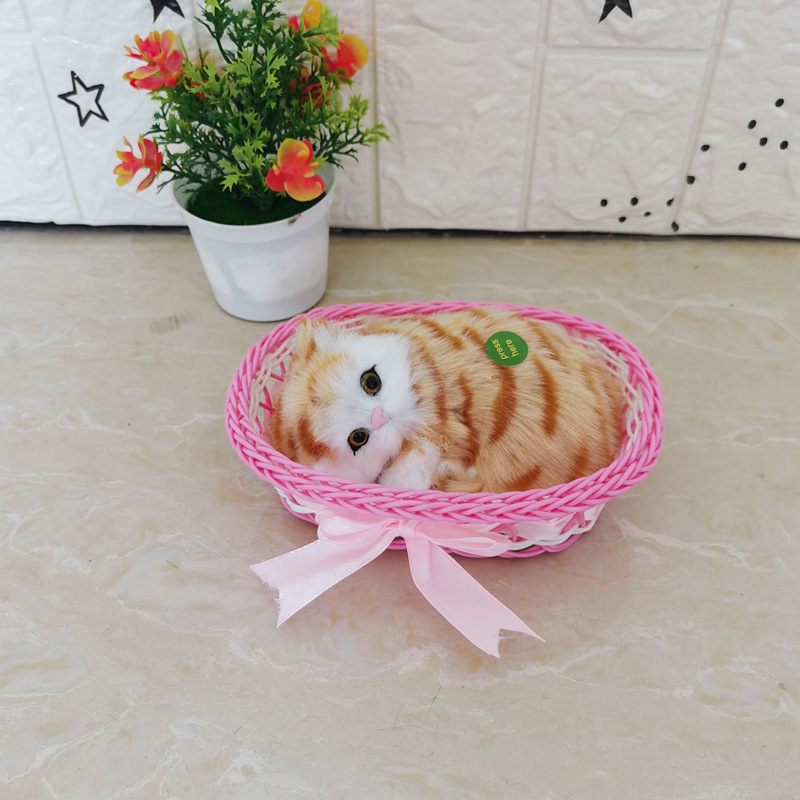 그것은 핑크 큰 상자 노란 꽃 고양이라고합니다