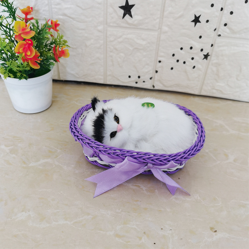 보라색 큰 프레임 블랙 헤드 고양이를 부를 것입니다