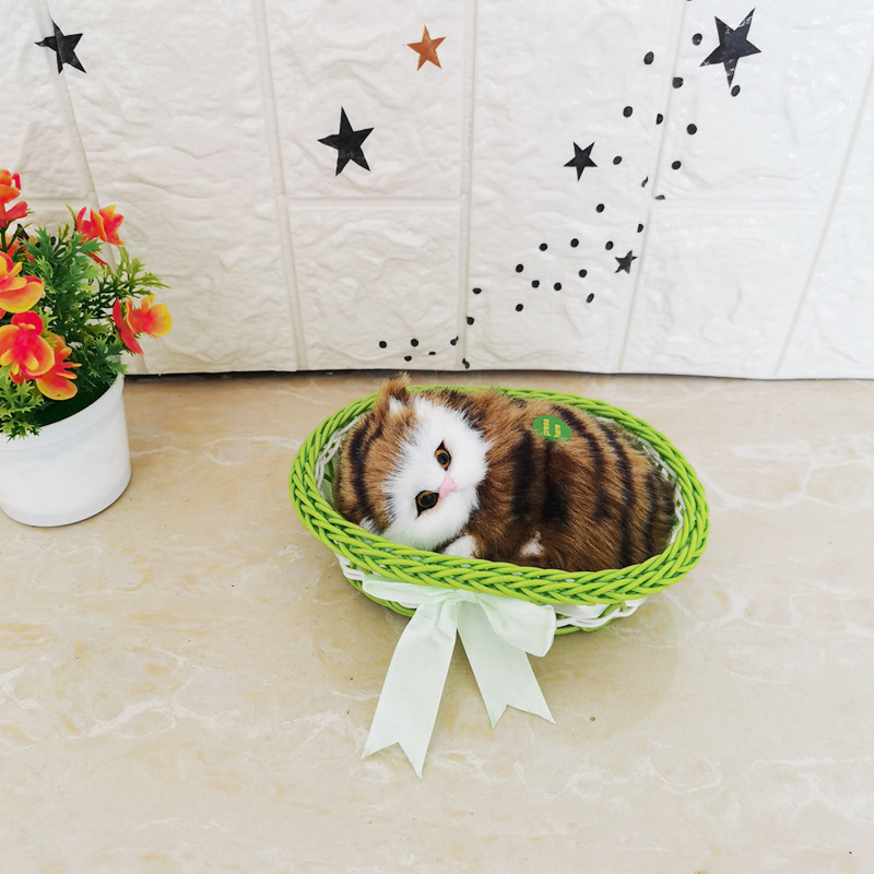 그것은 큰 녹색 노란색 사향고양이라고 불린다.