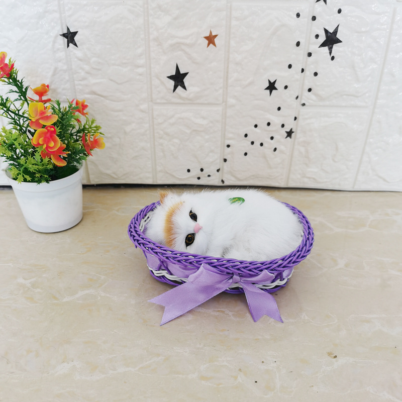 전화 할 것이다 보라색 큰 상자 노란 머리 고양이