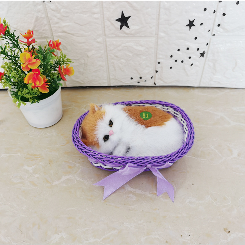 보라색 큰 프레임 노란색 블록 고양이라고합니다.